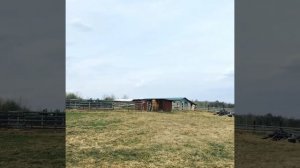 Великий Наволок. Пидмозеро.