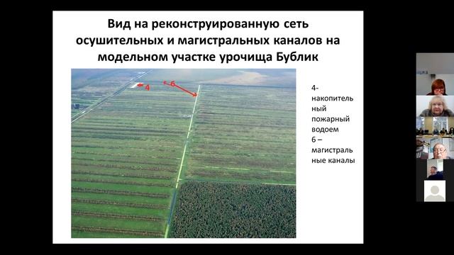 РАСТИТЕЛЬНОСТЬ БОЛОТ... Ч1 (2021, 22 сентября 10:00-13:00)