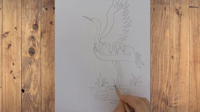 Рисунок птица Журавль Карандашом/Карандашпен салынған Журавль/ смотреть онлайн