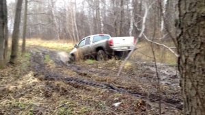 Додж Рэм засадили.