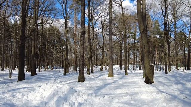 Посудомойка-сирота забирала из ресторана объедки… Все смеялись, но когда директор установил камеру… смотреть онлайн