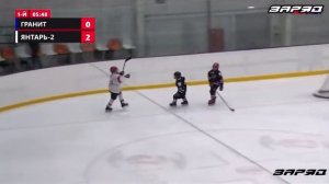 Лучшие детские голы в хоккее