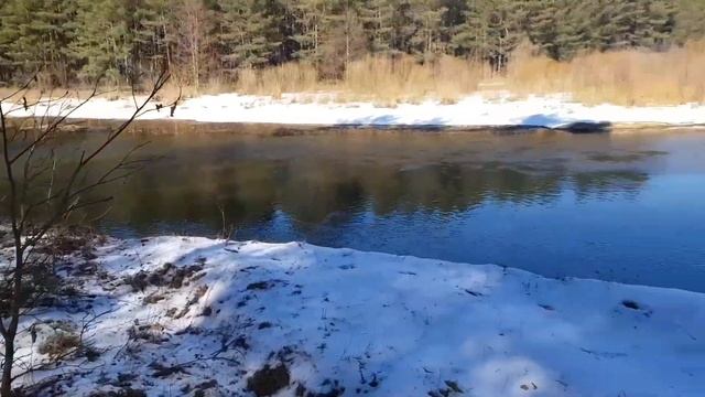 Выводы за год пользования дачей.  А нужна ли нам дача? Дача в лесу у речки.