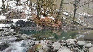 Домой & Ара Мартиросян