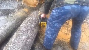 Бензопила AL-KO BKS 35/35 ВСЁ ЕЩЁ В РАБОТЕ