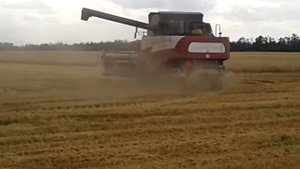 Акрос 530 и Дон 1500Б уборка пшеницы.