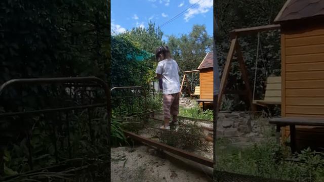 Волгодонск Дача ,2022 7 августа(1) смотреть онлайн