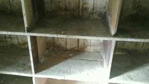 #Pigeons Осенняя дезинфекция голубятни