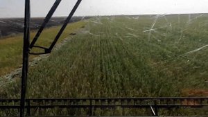 Будни Тракториста Торум 750 свал зерносмеси на сенаж