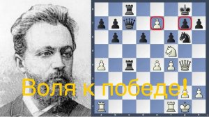 "Грандиозность замыслов" Чигорин - Поллок, Нью-Йорк 1889 (1-0)