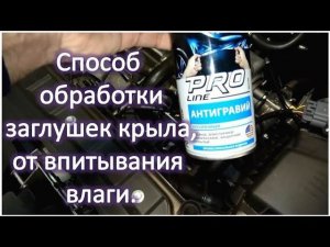 Лада Гранта Способ обработки заглушек крыла от впитывания влаги