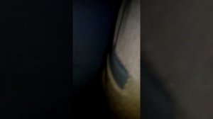 Политехнический музей,на ВДНХ