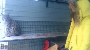 РАЗГОВОРЧИВАЯ РЫСЬ.