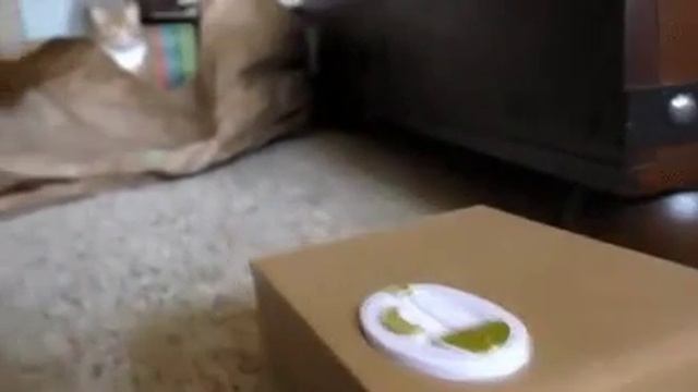 Человек, это что за чертовщина?! смотреть онлайн