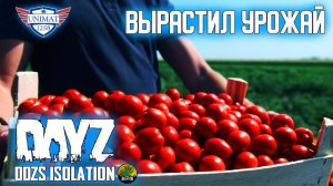 ВЫРАСТИЛ УРОЖАЙ | DAYZ Isolation PVE | #54