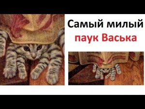 Лютые приколы. Милый паук ВАСЬКА