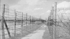 ВАРЛАМ ШАЛАМОВ