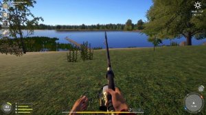 #рр4 .оз.Янтарное .Карп Линейный Троф .78.98.  18.02.