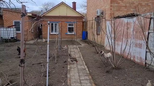 Ейск?Покупки Тани для квартиры. Цены на фрукты и овощи. Варька...