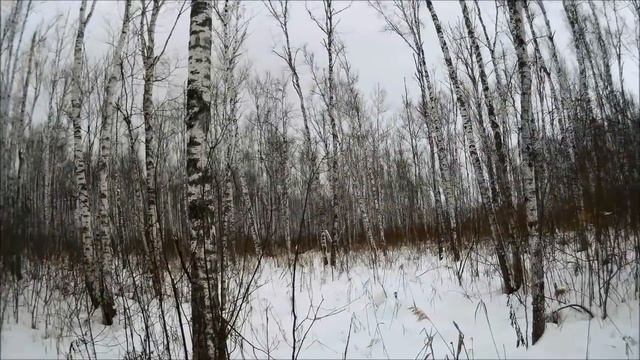 Охота по зайцу беляку 6 смотреть онлайн