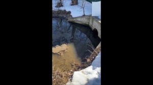 18-19.03.2022 года. Сброс неочищенных отходов от Экодолья Шолохово в реку Раздериха.