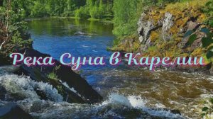 Река Суна в Карелии