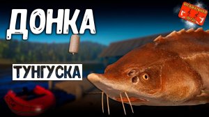 РР4/ рыбалка для души, ловим как универсал, общаемся 14.12.23