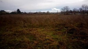 Точка 3. Тереховка. Обзор площадки.