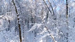 Красивая музыка Сергей Грищук! Потрясающая и Проникновенная музыка до глубины души! Послушайте!