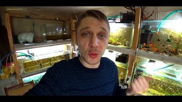 НЕРЕАЛЬНЫЙ ЭФФЕКТ СНЕГА В АКВАРИУМЕ!!! смотреть онлайн