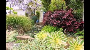 Мой прекрасный сад. Средиземноморские сады. Mediterranean garden.