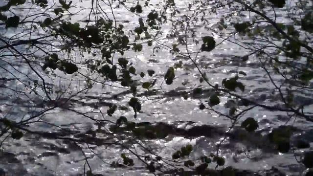 Заходское. Озеро Большое Красноперское. Сильный ветер. Июнь 2015. смотреть онлайн