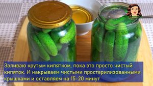 ОГУРЦЫ ПО БОЛГАРСКИ САМЫЕ ВКУСНЫЕ МАРИНОВАННЫЕ ОГУРЦЫ НА ЗИМУ!