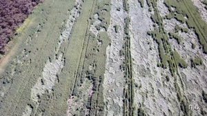 ЗНАКИ НА ПОЛЯХ, FIELD SIGNS, Нижегородская обл.