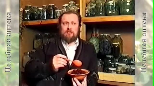 Брусника обыкновенная