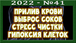 От растительного масла бактерии в крови?  Скачки глюкозы на разжёвывание пищи. Стресс чистки.
