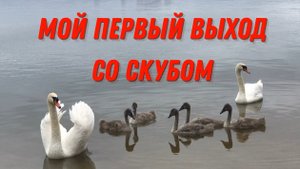 Подводный поиск со скубом и металлоискателем Минелаб Эквинокс 800