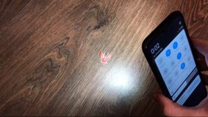 Как убить МУХУ // Как быстро поймать муху