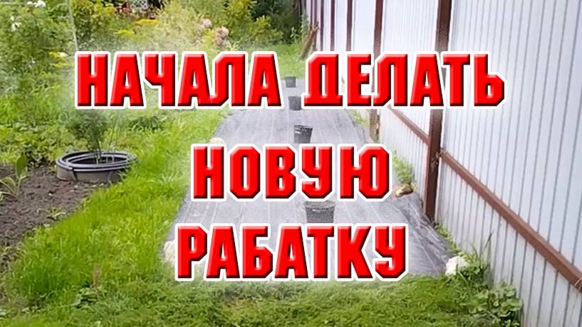 Начала делать новую рабатку