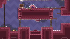 Cat Bird! Level 5