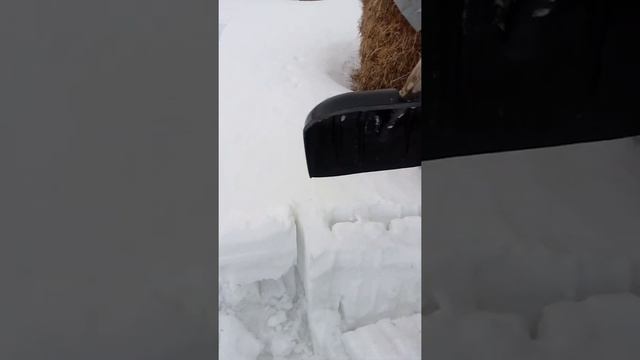 снегоуборщик.                                  снегоотбрасыватель.                     уборка снега