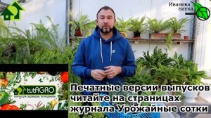 ОПИЛКИ ДЛЯ РАССАДЫ: в чем польза и как правильно использовать для крепкой и сильной рассады.