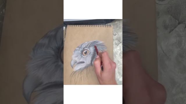 #prismacolor #анималистика #животные #пастель #рисунок #скетч #арт #карандаш