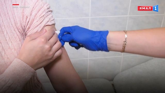 Ямал вошел в тройку лидеров в стране по вакцинации от гриппа смотреть онлайн