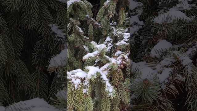 От каких вещей нужно обязательно избавиться перед Новым годом