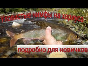 Топ-3 уловистых нимф на хариуса