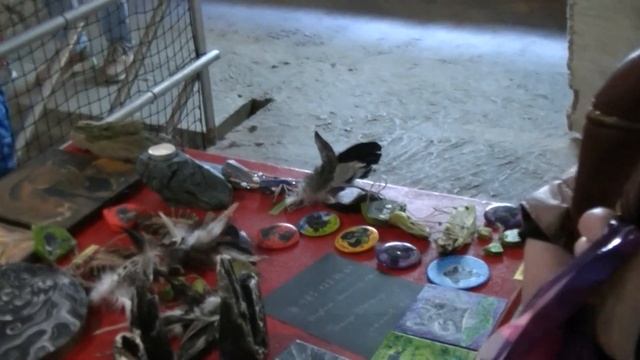 Сорока Белобока  Благотворительная ярмарка  09 04 2023