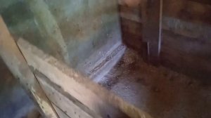 Удобные клетки для поросят и свиноматки. наш опыт. Станок для опороса