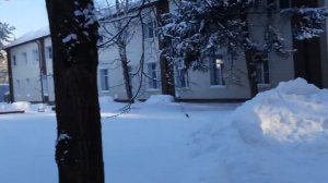 санаторий "Елочки"