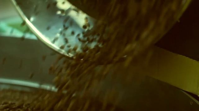 #Свойбизнес: душевный кофе Камера Обскура